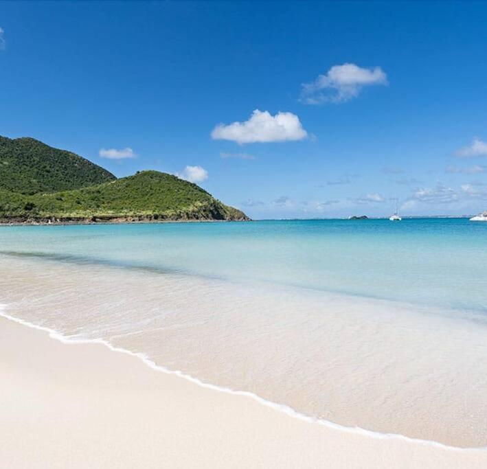 Le Palmier Bleu, Cocon Tropical, Plage & Piscine Anse Marcel المظهر الخارجي الصورة